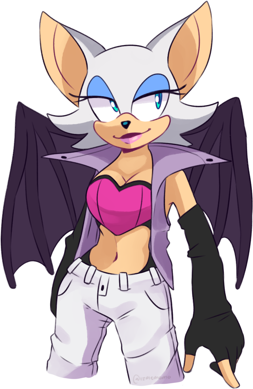 Noice - Shadow The Hedgehog (1024x1424), Png Download