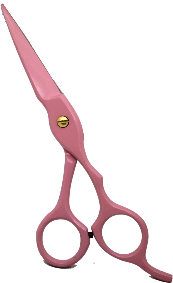 Professional Hairdressing Hair Cutting Scissors - Terzi (1024x1024), Png Download