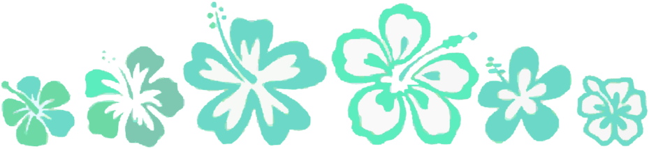 Hawaiian Flower Design Border - Hawaii (1024x373), Png Download