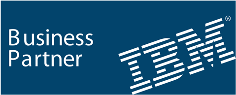 Logo - Ibm - Ibm Platinum Partners Logo (480x480), Png Download