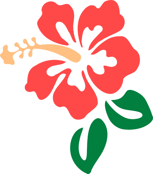 Hibiscus Png - Hibiscus Clip Art (522x594), Png Download