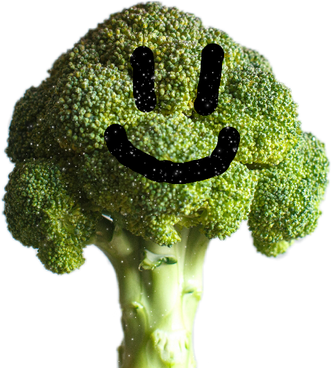 Vegetable (480x534), Png Download