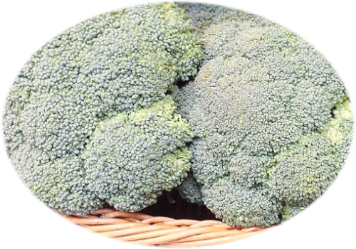 Previousnext - Broccoli (500x350), Png Download