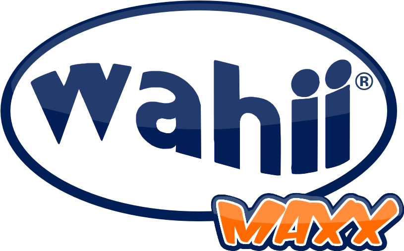 Wahii Waterslide, Biggest Backyard Water Slide - Water (1200x800), Png Download