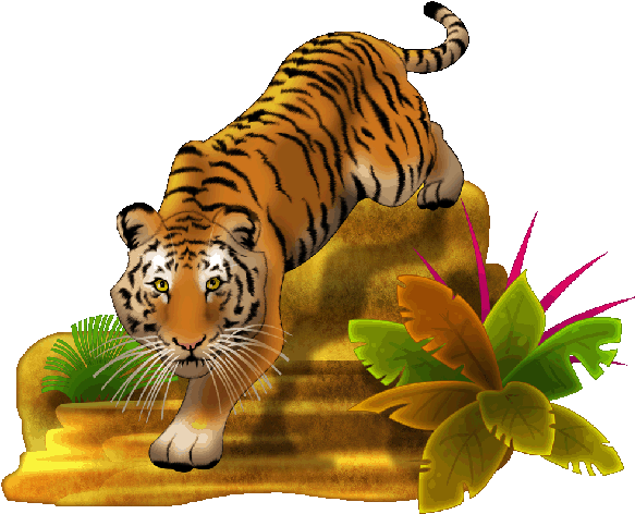 Tiger Cartoon Clipart Png (600x600), Png Download