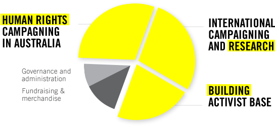 Pie Graph Illustrating Amnesty's Expenditure Allocations - Understanding Case Study Research: Small-scale Research (630x249), Png Download
