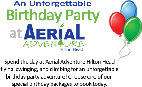 Aerial Adventure Hilton Head Birthday Graphic - Zipline Hilton Head (474x380), Png Download