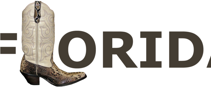 Illness Forces Carrie Underwood To Cancel England Festival - Cowboy Boot (737x415), Png Download