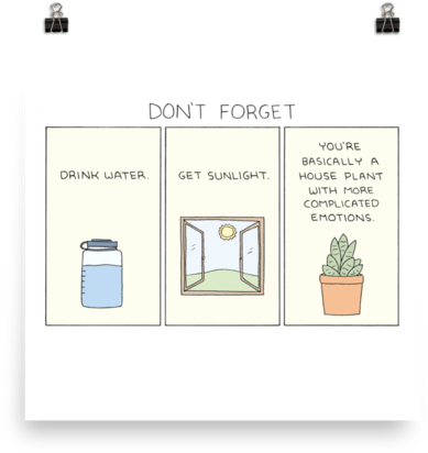 "don't Forget" Print - Don T Forget Drink Water Get Sunlight (600x600), Png Download