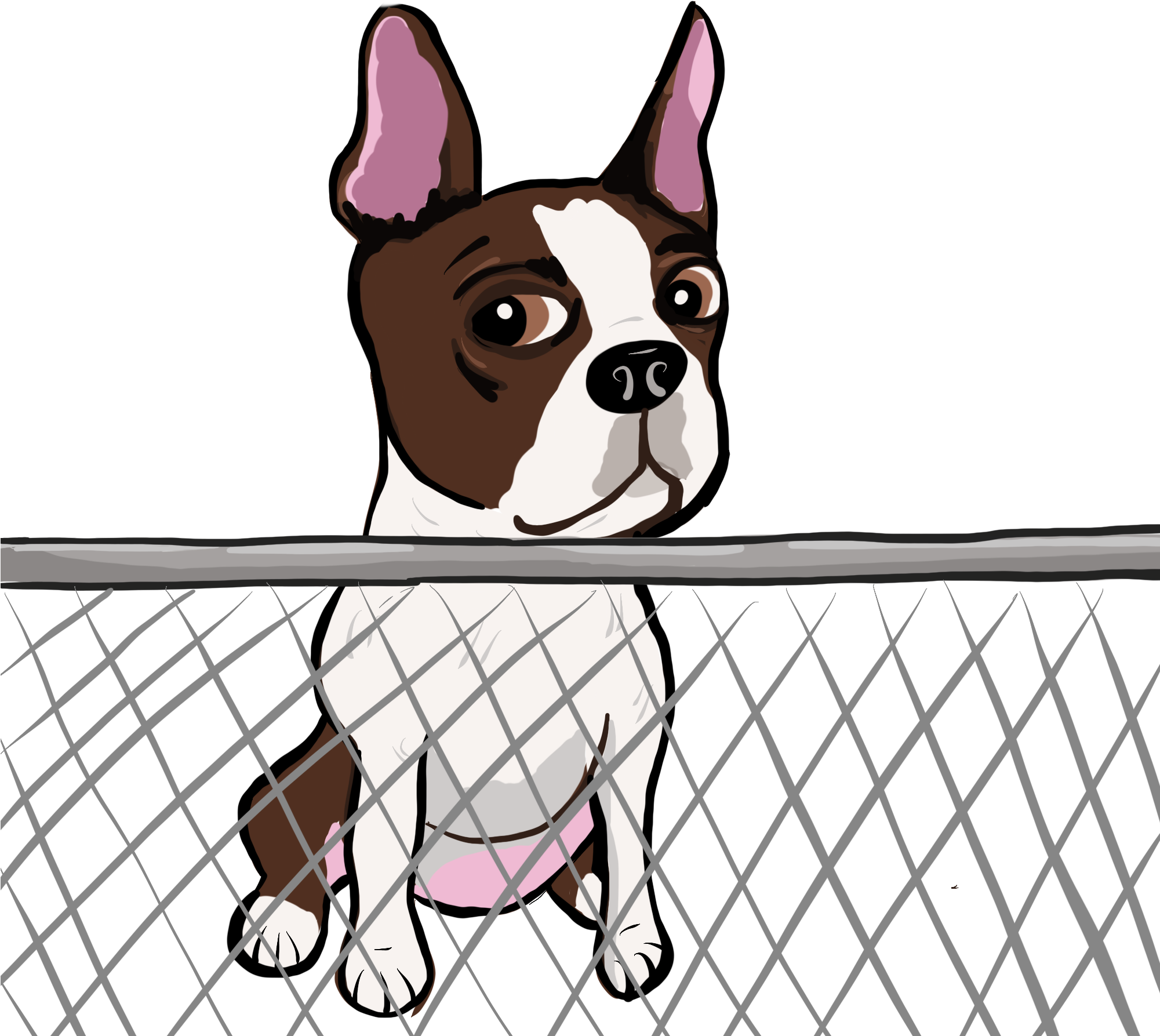 Cute Dogs Pictures - Dog (2000x2000), Png Download