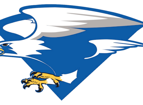 North Forney Falcons - Air Force Falcons Football (480x355), Png Download