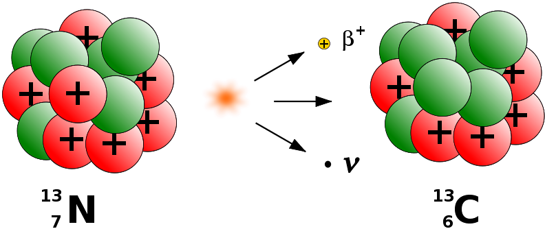Cosmology, Decay, Electron, Grand Unified Theory, Nitrogen, - Nitrogen 13 Beta Decay (800x380), Png Download