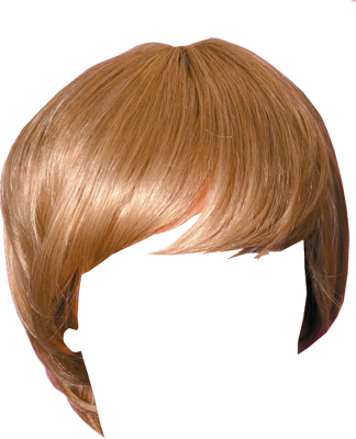 Hair Psd Vectors Vectorhqcom - Cabello Mujer Psd (324x400), Png Download