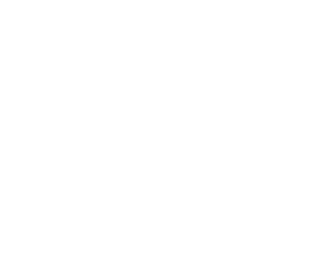 Food Birds - All About Birds (1024x1024), Png Download