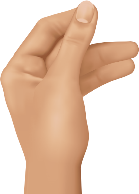 Free Png Hand Png Images Transparent - Holding Hand Png (480x647), Png Download