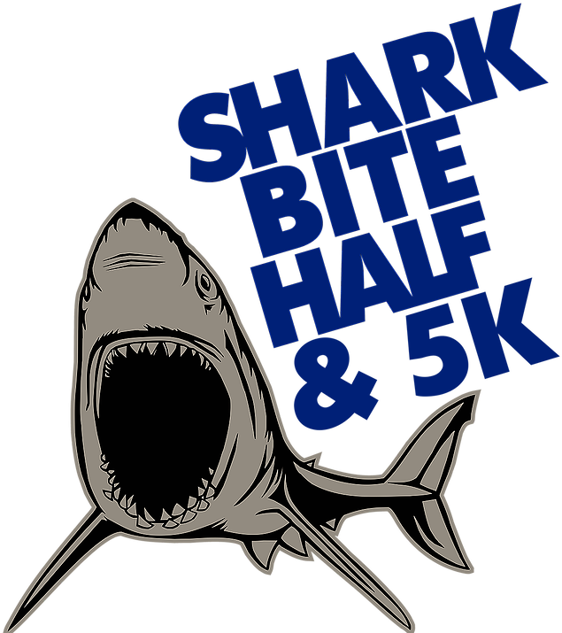 Shark Bite Half Marathon & 5k - New Smyrna Beach (766x716), Png Download