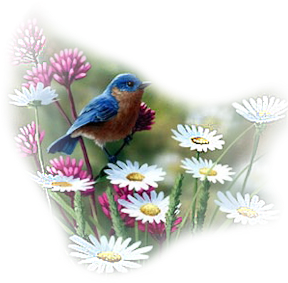 Dove Of Peace - Bradley Jackson Paintings (412x400), Png Download