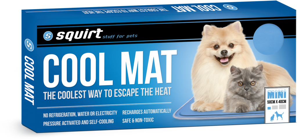 Sale - Cool Mat For Cats (1080x1080), Png Download
