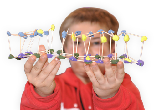 Next Generation Science Standard Student - Student (492x352), Png Download