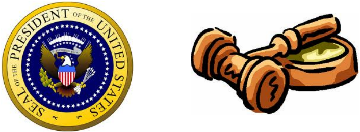 Executive Power In United States (706x260), Png Download
