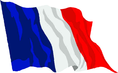 Reciprocal Exchange Between France And The United States - French Flag 19th Century (502x312), Png Download
