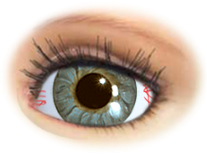 Designer Eyes - Eye (420x420), Png Download