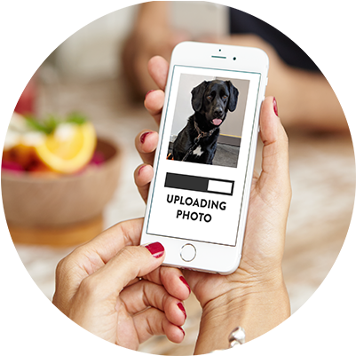 Upload An Image Of Your Pet, And Select Your Product - Iphone (401x401), Png Download