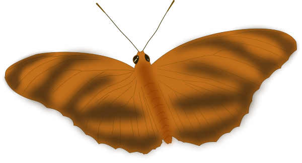 An Ethereal Butterfly Png Clip Arts - Vector Graphics (600x325), Png Download