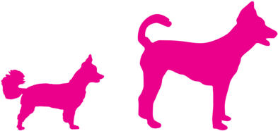 Woof Gang Bakery Inc - Woof Gang Bakery And Grooming (410x373), Png Download