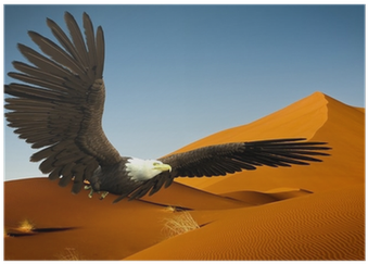 Bald Eagle (400x400), Png Download