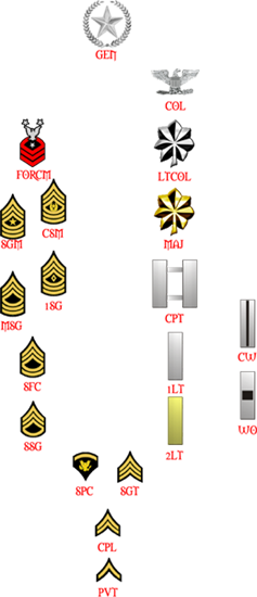 The Rank Structure Of Mcy Holds Enlisted And Officer - Army Rank Structure (237x550), Png Download