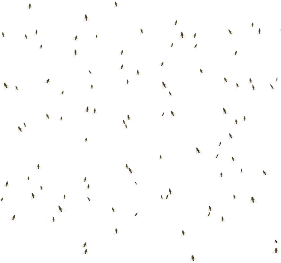 15 Flying Rocks Png For Free On Mbtskoudsalg - Flock (900x900), Png Download