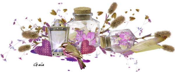 Tube Violet - .net (600x248), Png Download