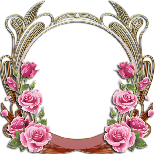 Flower Oval Frame Png Download Aihome Vertical Version Pink Rose Diy 5d Diamond Embroidery Full Size Png Download Seekpng