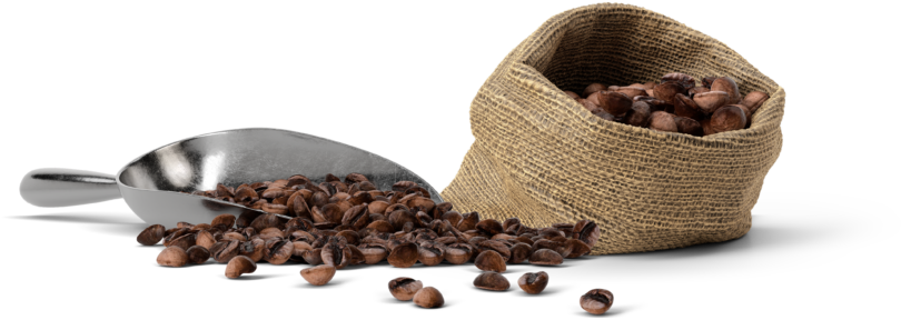 Coffee St Pete Black Crow Coffee Company - Black Crow Coffee Shop (1024x683), Png Download