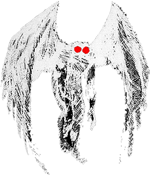 Seriously, There's A Museum For Mothman - Mothman Museum (658x439), Png Download