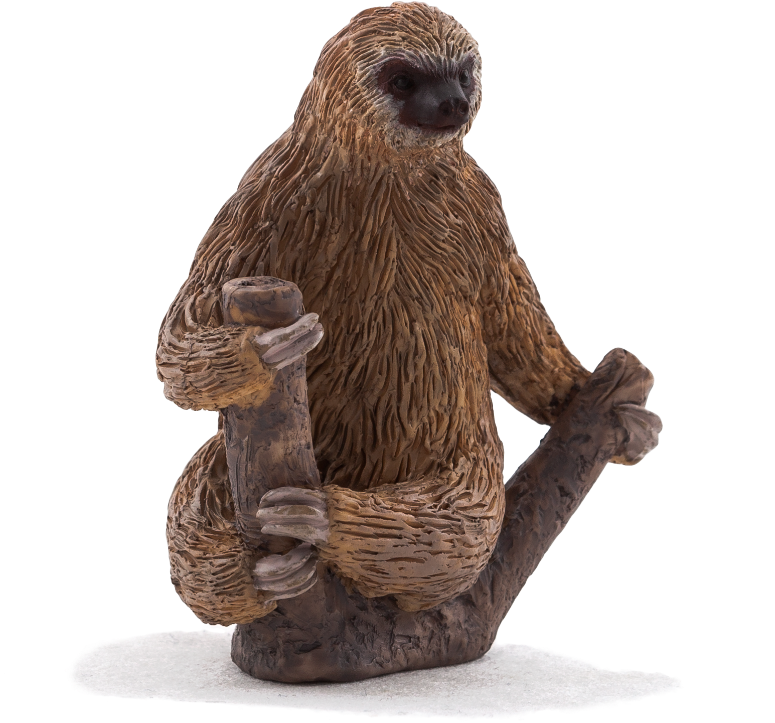 Animal Planet - Two Toed Sloth (1633x1896), Png Download