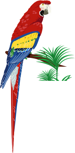 Farmer Girl Exotic Gardens - Excetic Birds (270x530), Png Download