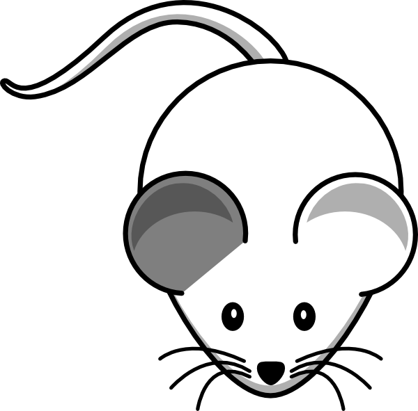 This Free Clipart Png Design Of White Mouse Right Grey - Cartoon Mouse Shower Curtain (600x591), Png Download