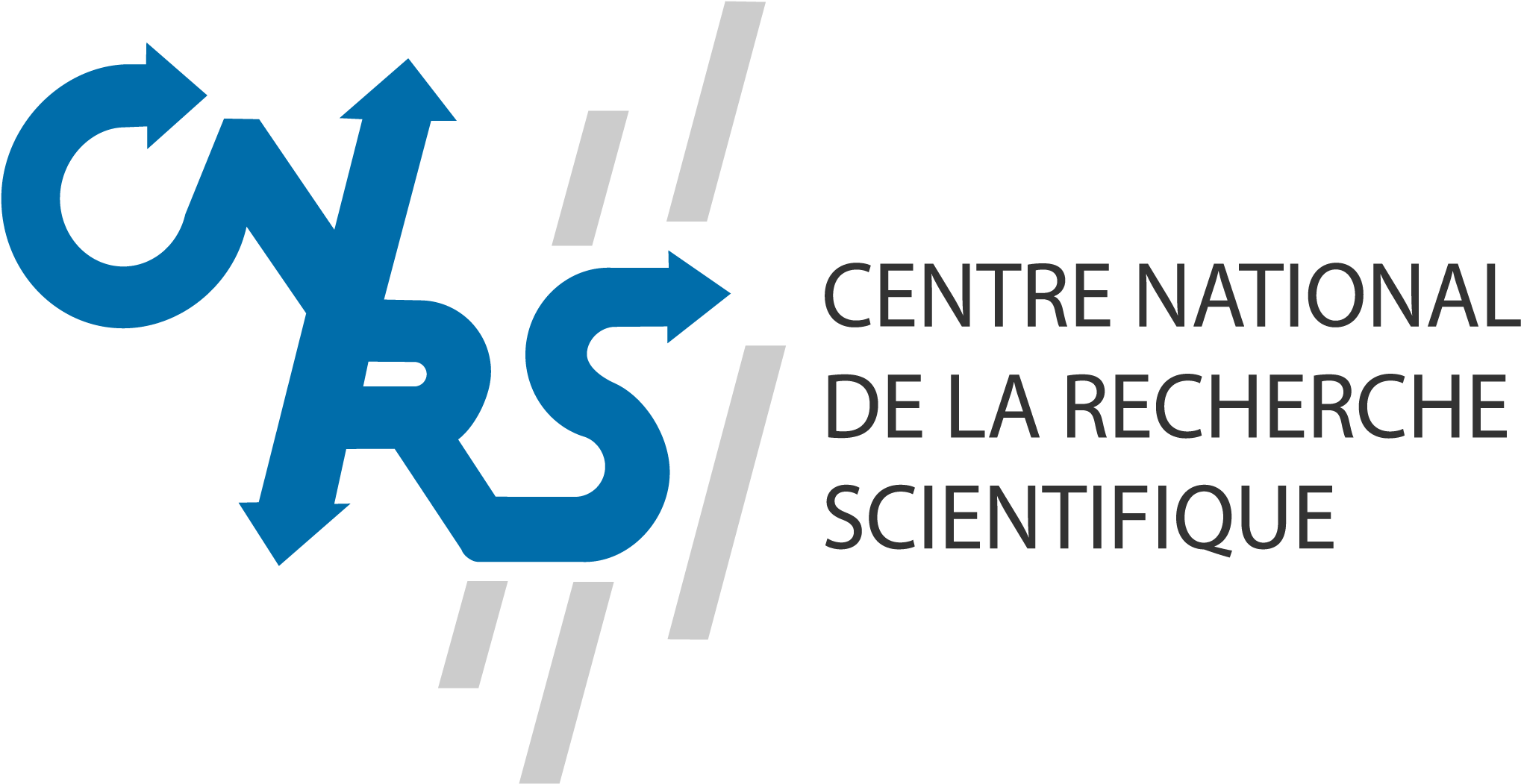 Real Birds Png - Logo Png Centre National De Recherche Scientifique (2049x1050), Png Download