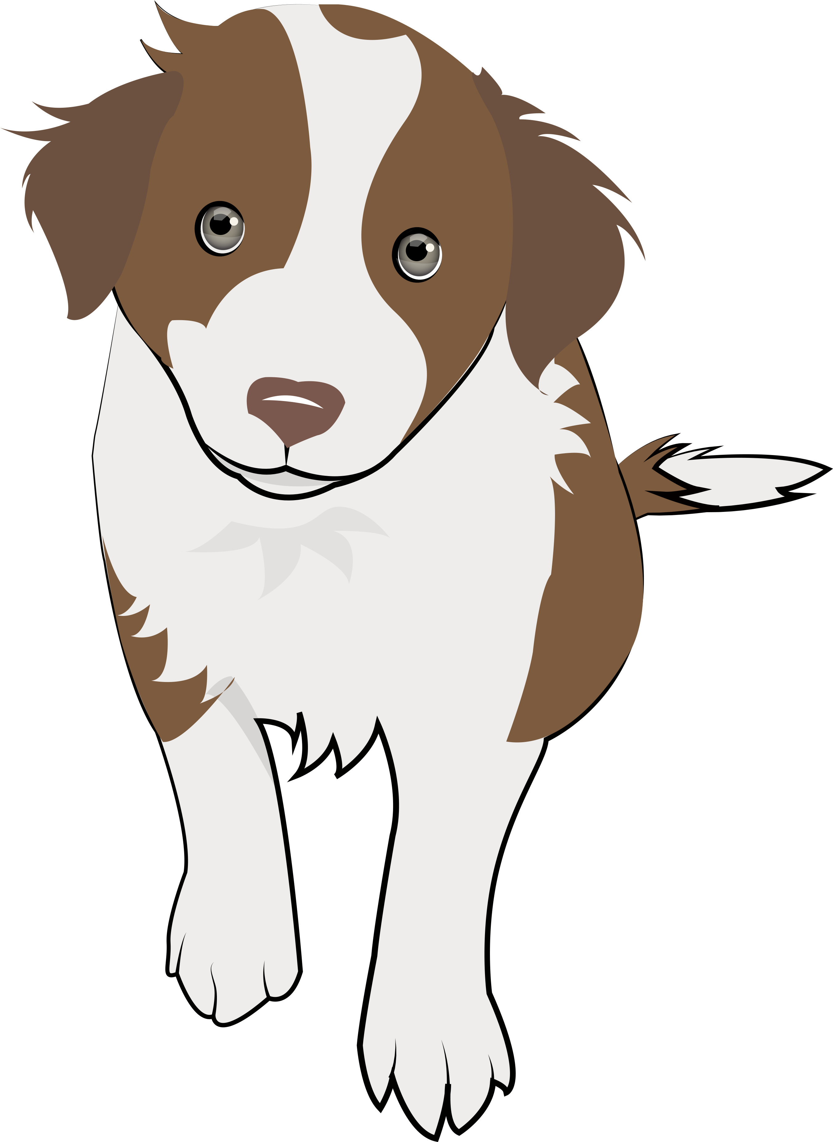 8 Chocolate Collie Puppy - Chocolate Border Collie (5479x3930), Png Download