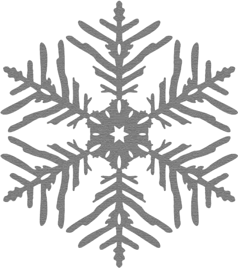 Snowflake - Symmetrical Snowflake (585x585), Png Download