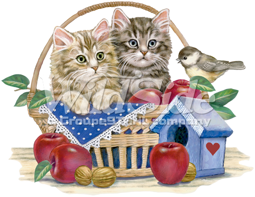Apple Basket Kittens - Cat (508x394), Png Download