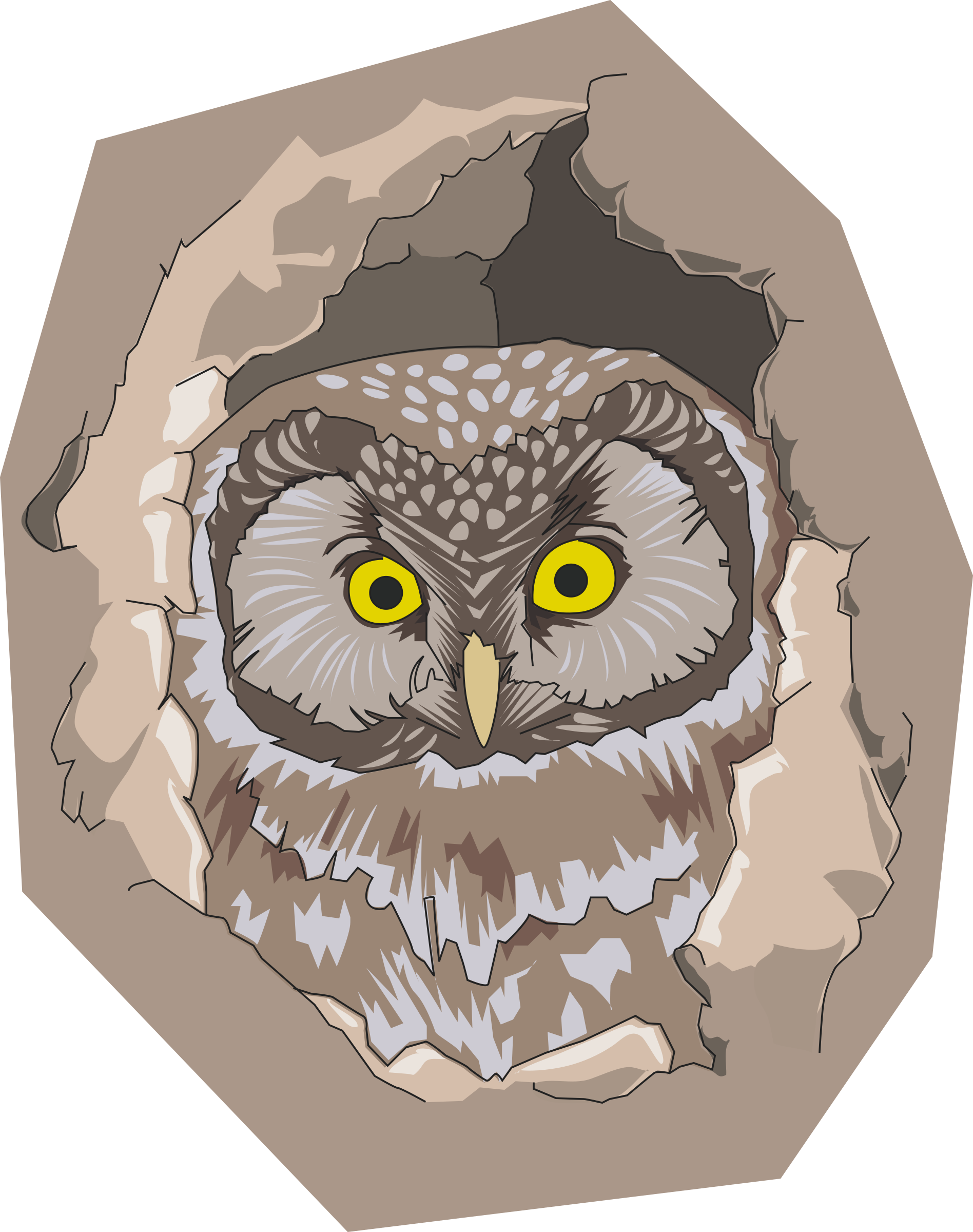 Big Image - Circle Mousepad With A Boreal Owl In His Hole (1896x2400), Png Download