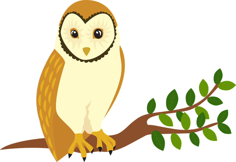 Owl Forest Animal - Perched Clipart (960x660), Png Download
