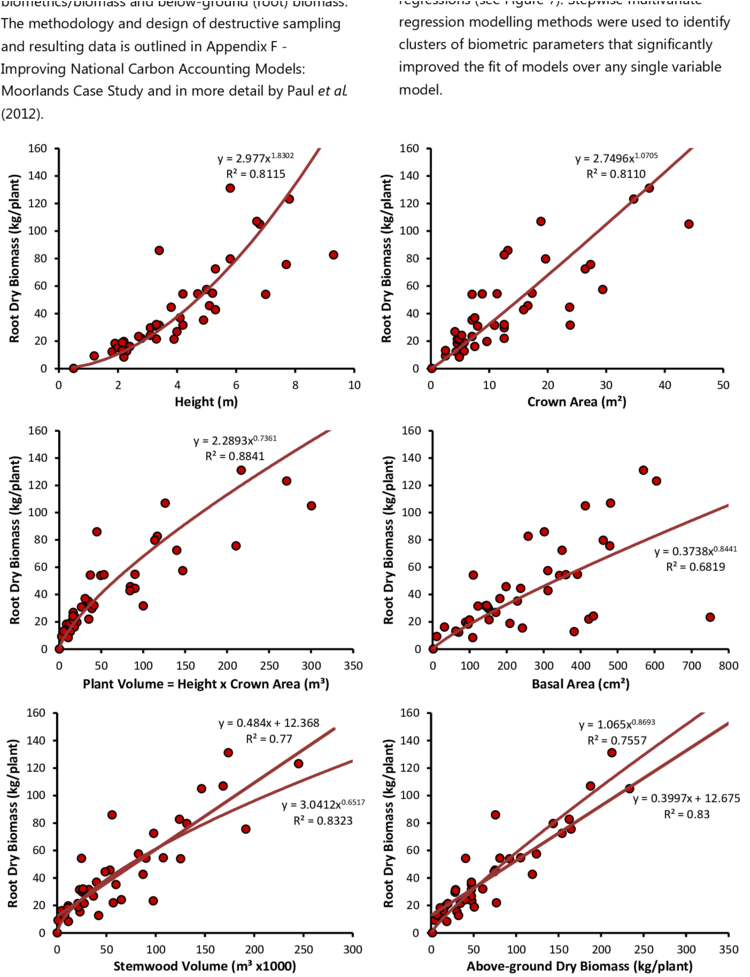 Simple Allometric Relationships Between Individual - Individual (850x976), Png Download