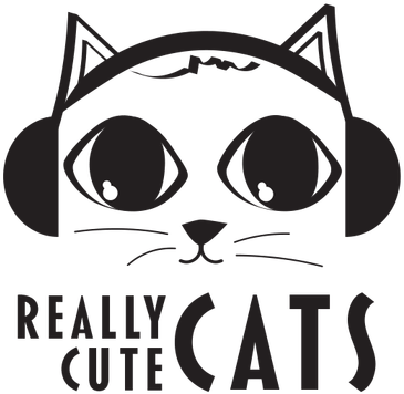 Really Cute Cat Picture - Cat (420x420), Png Download