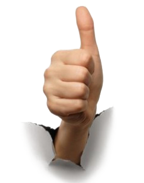 A Few Things Have Been Ingrained Into The Minds' Of - Positive Attitude (500x600), Png Download