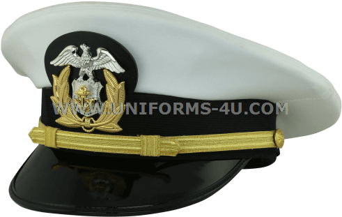 Us Navy Warrant Officer Crest (500x321), Png Download