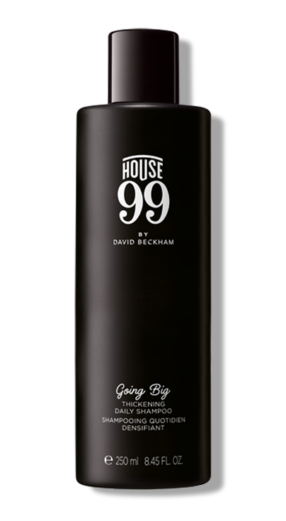 Going Big House 99 By David Beckham - Mejor Champu Del Mundo (660x735), Png Download